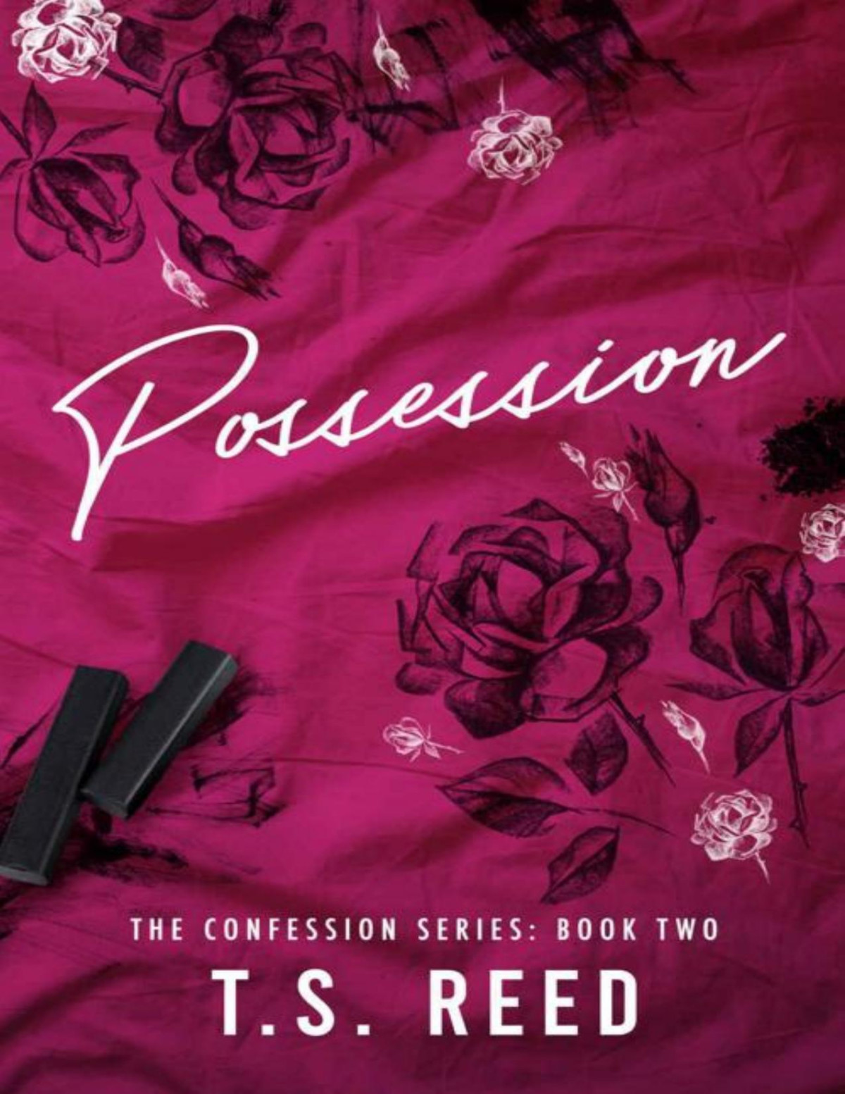 Possession Confession 2 The Confession Series Ts Reed