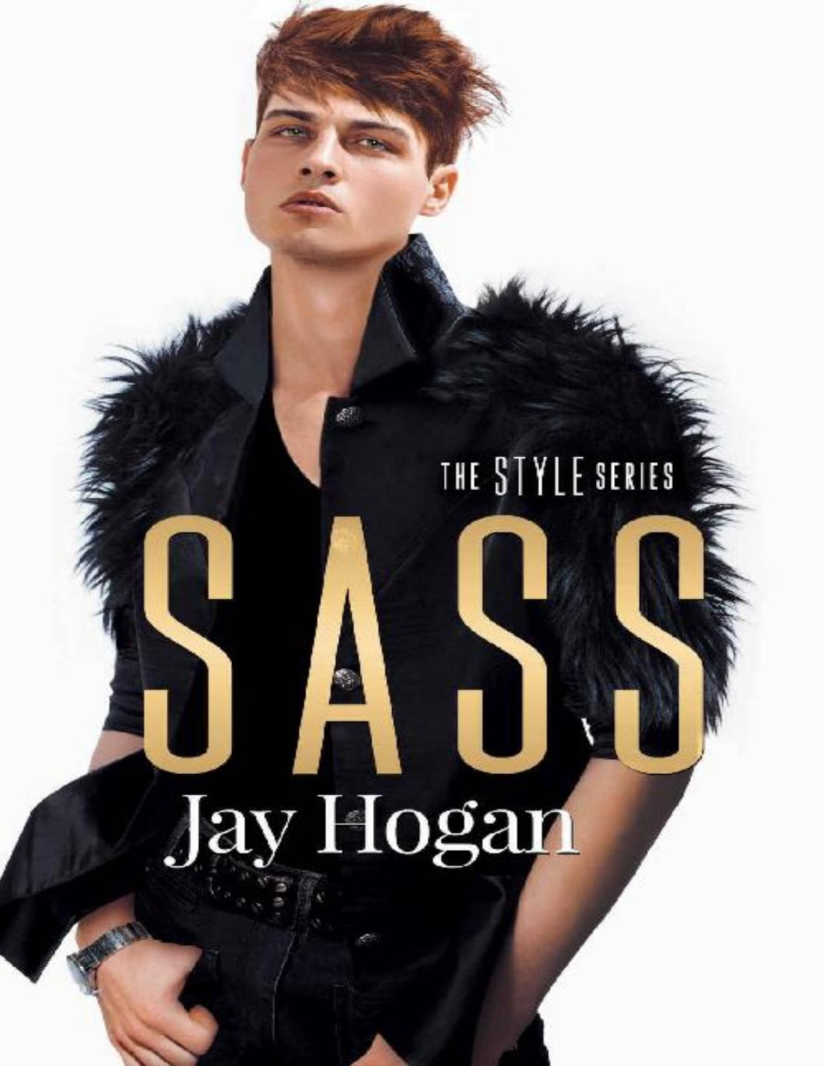 Sass Style Series Book 3 Jay Hogan