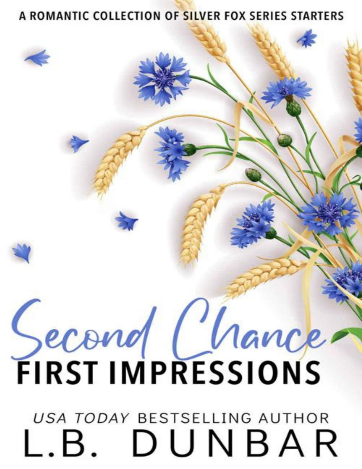 Second Chance First Impressions Collection Of Silver Fox Series Starters Lb Dunbar