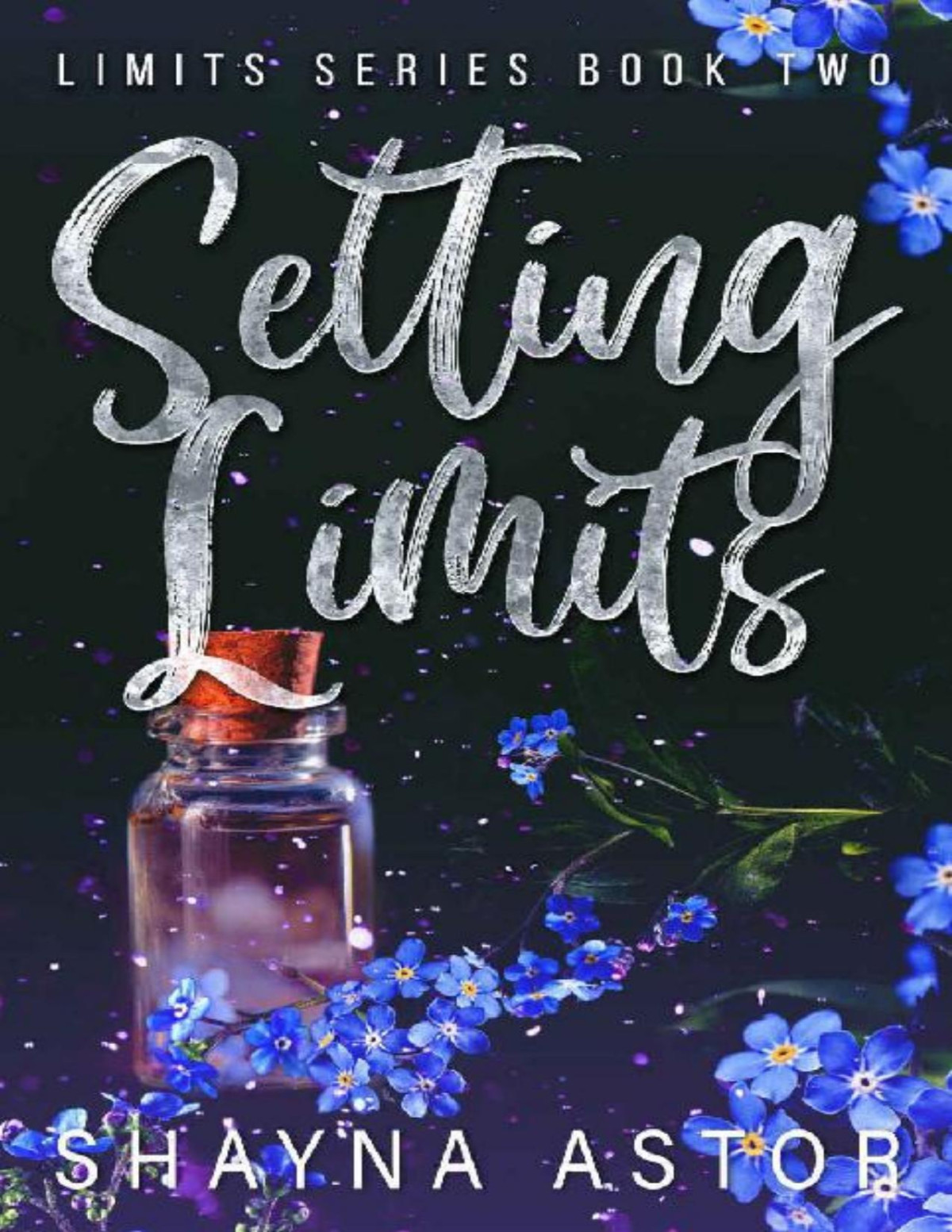 Setting Limits The Limits Series Book 2 Shayna Astor