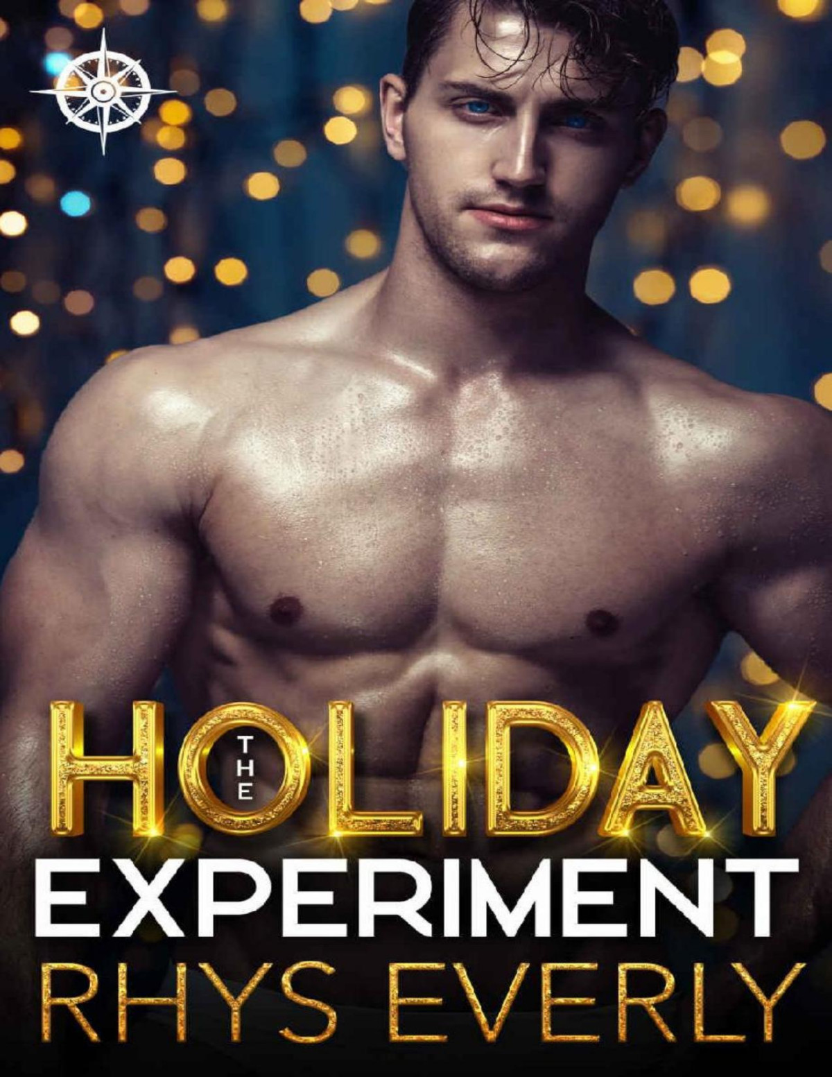 The Holiday Experiment A Mayberry Holm Standalone Christmas Novel Rhys Everly