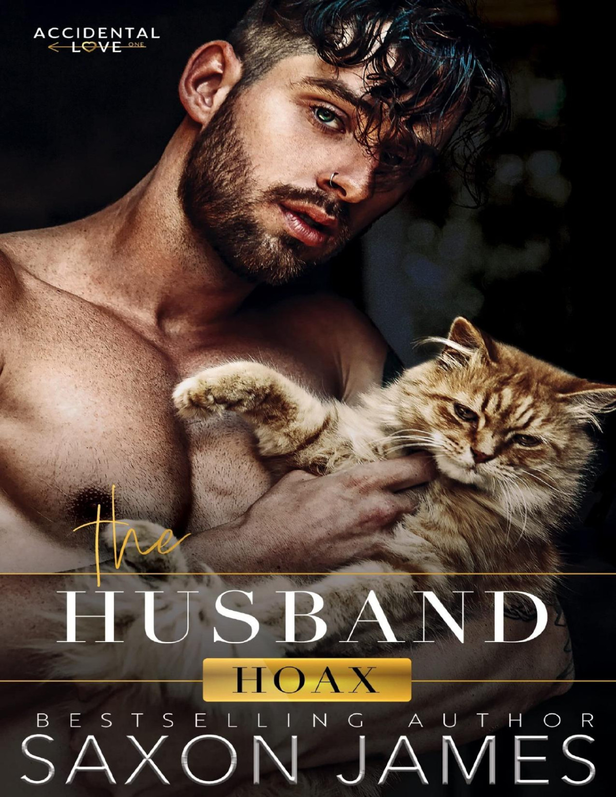 The Husband Hoax Accidental Love 1 1st Edition Saxon James