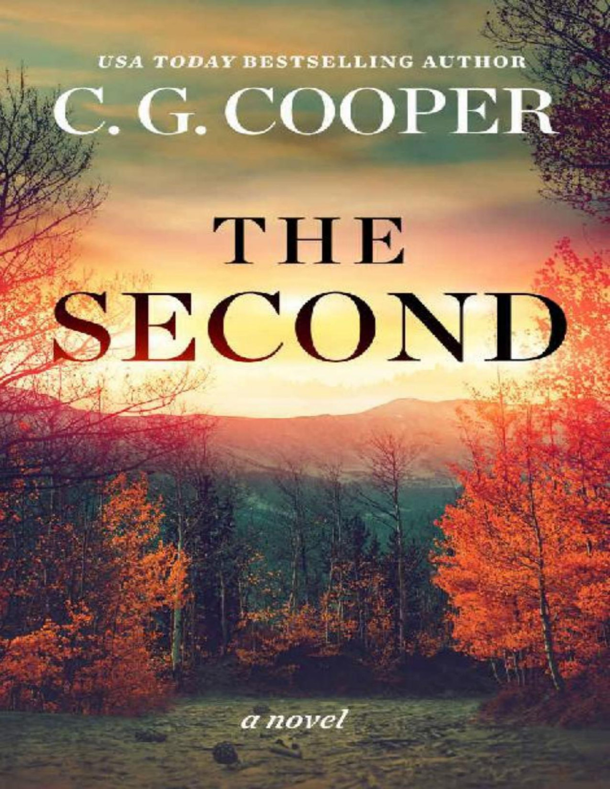 The Second Lone Peak Heroes Book 2 C G Cooper