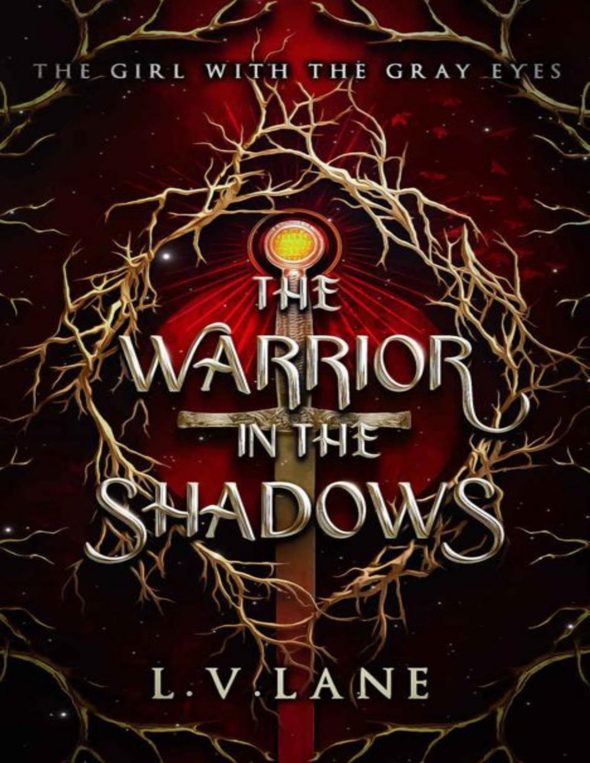 The Warrior In The Shadows The Girl With The Gray Eyes Book 2 Lv Lane