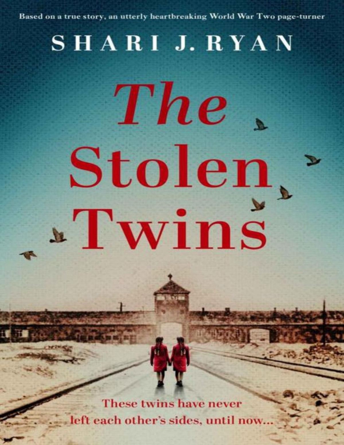 The Stolen Twins Based On A True Story An Utterly Heartbreaking World War Two Pageturner Shari J Ryan