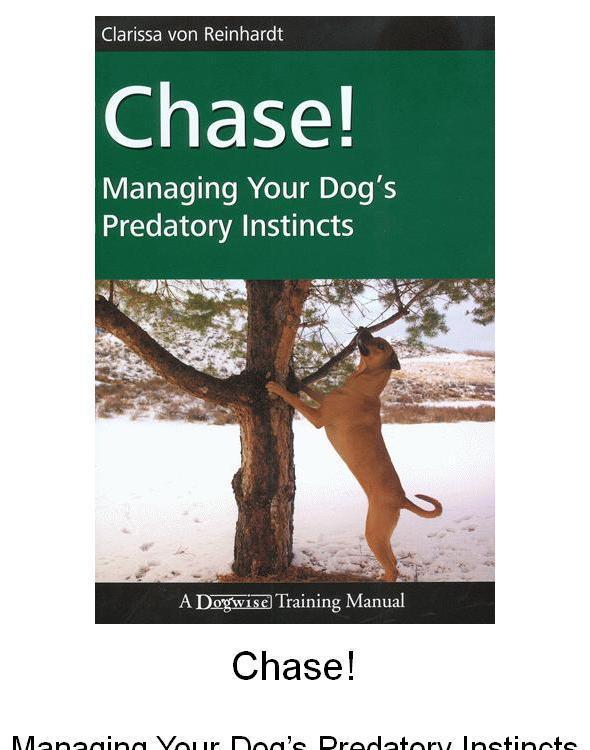 Chase Managing Your Dogs Predatory Instincts Clarissa Von Reinhardt