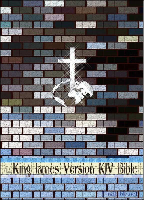 King James Version Findbiblenet
