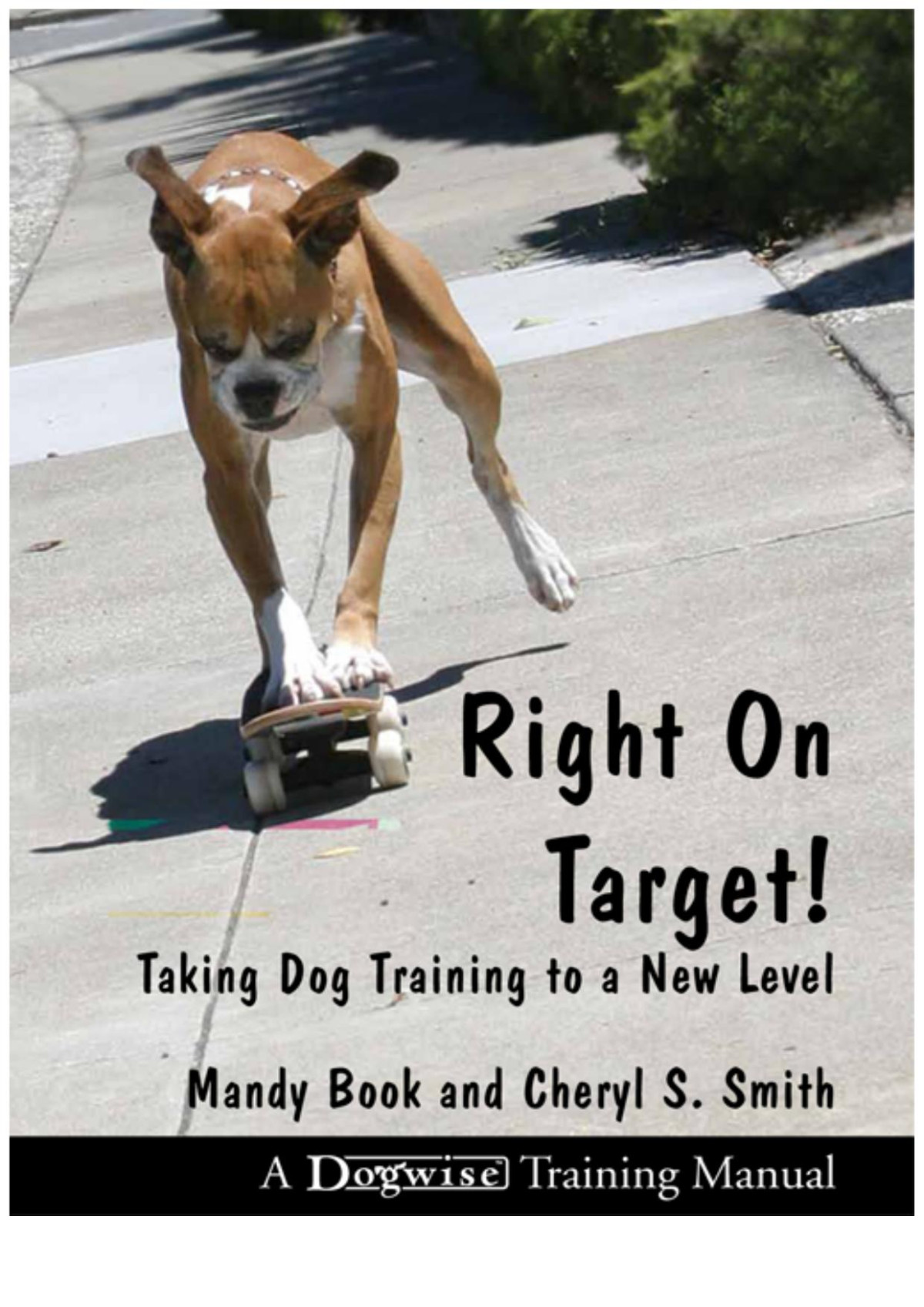 Right On Target Mandy Book Cheryl S Smith