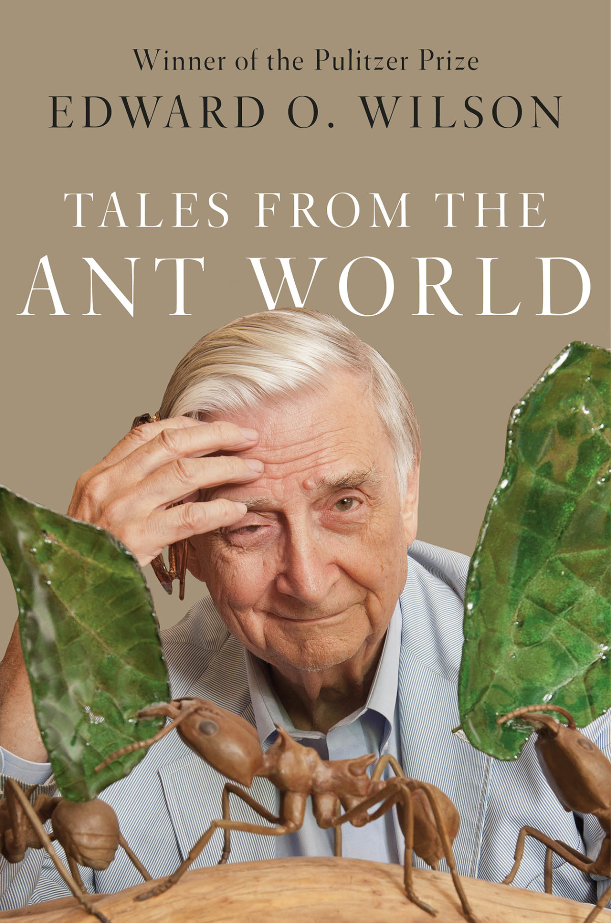 Tales From The Ant World Edward O Wilson