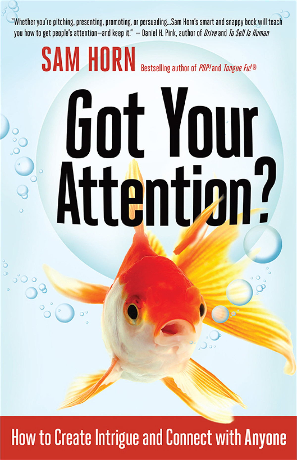 Got Your Attention Sam Horn