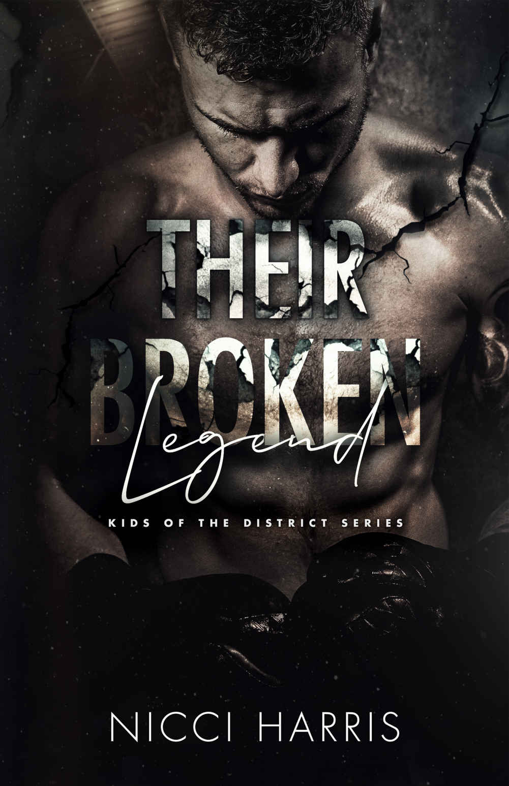 Their Broken Legend A Standalone Boxing Romance Kids Of The District Book 6 Nicci Harris