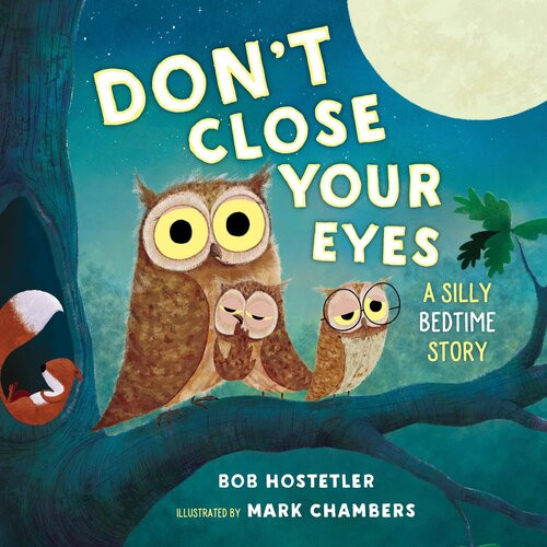 Dont Close Your Eyes A Silly Bedtime Story Bob Hostetler