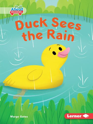 Duck Sees The Rain Margo Gates