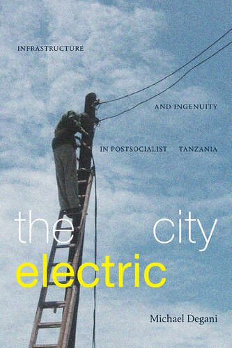The City Electric Infrastructure And Ingenuity In Postsocialist Tanzania Michael Degani