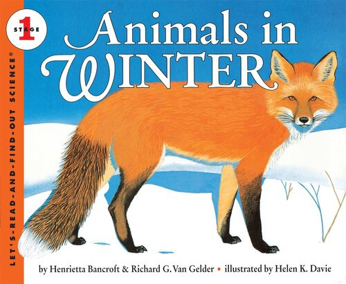 Animals In Winter Henrietta Bancroft Richard G Van Gelder