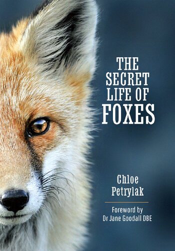 The Secret Life Of Foxes Chloe Petrylak