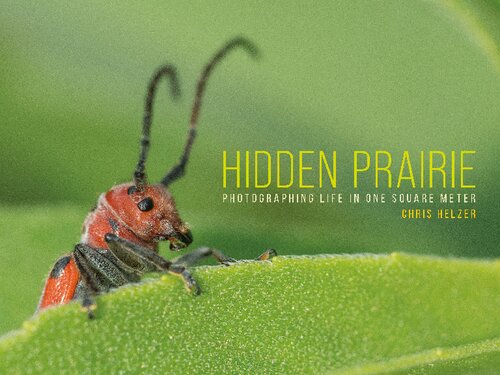 Hidden Prairie Photographing Life In One Square Meter 1st Edition Chris Helzer