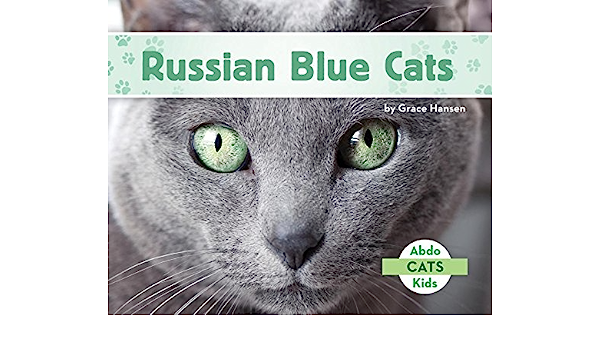 Russian Blue Cats Grace Hansen