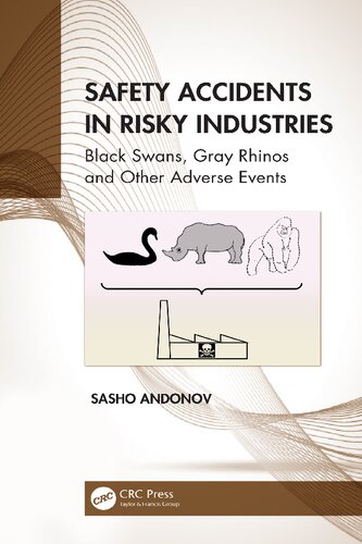 Safety Accidents In Risky Industries Black Swans Gray Rhinos And Other Adverse Events Sasho Andonov