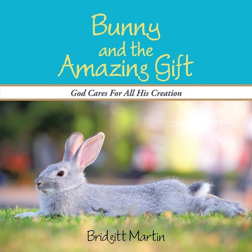 Bunny And The Amazing Gift God Cares For All His Creation Bridgitt Martin