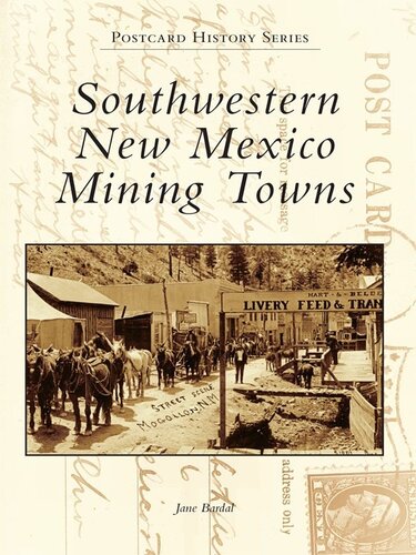 Southwestern New Mexico Mining Towns Jane Bardal
