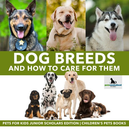Dog Breeds And How To Care For Them Pets Unchained