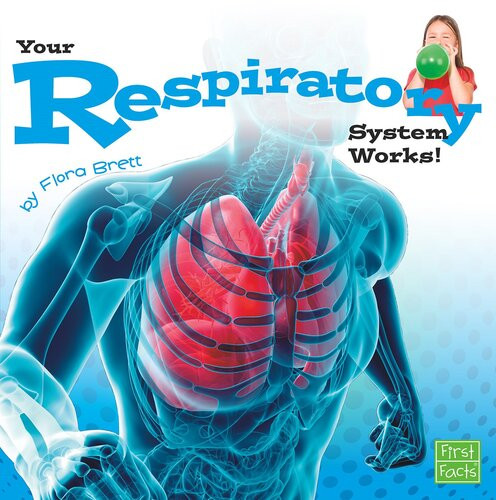 Your Respiratory System Works Flora Brett
