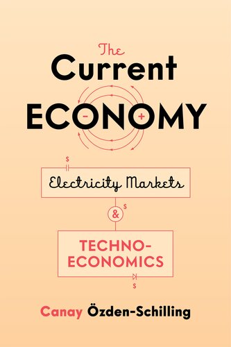 The Current Economy Electricity Markets And Technoeconomics Canay Zdenschilling