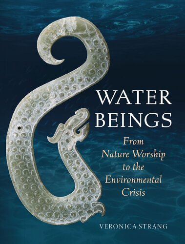 Water Beings From Nature Worship To The Environmental Crisis Veronica Strang