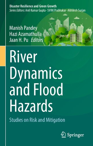 River Dynamics And Flood Hazards Studies On Risk And Mitigation Manish Pandey
