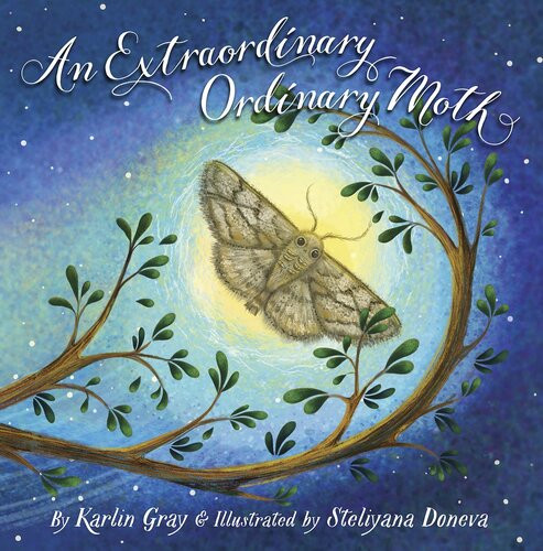 An Extraordinary Ordinary Moth Readalong Ebook Karlin Gray