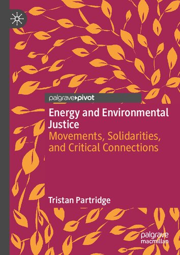 Energy And Environmental Justice Movements Solidarities And Critical Connections Tristan Partridge