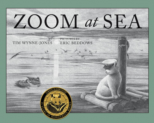 Zoom At Sea Readalong Ebook Tim Wynnejones