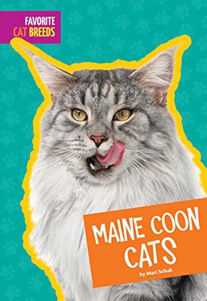 Maine Coon Cats Mari C Schuh