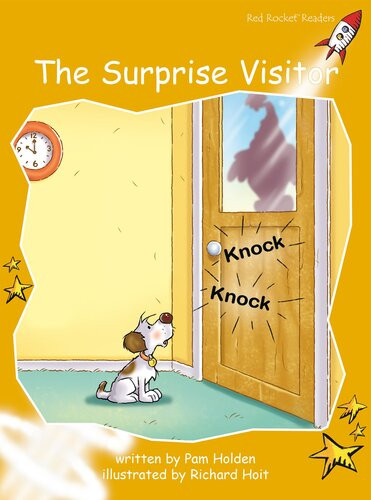 The Surprise Visitor Readalong Ebook Pam Holden