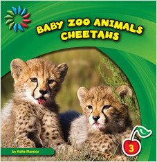 Cheetahs Katie Marsico