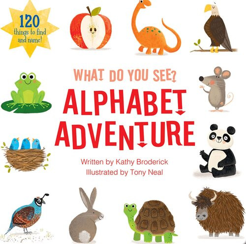 What Do You See Alphabet Readalong Ebook Kathy Broderick