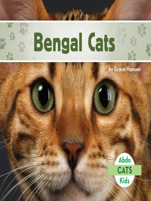 Bengal Cats Grace Hansen