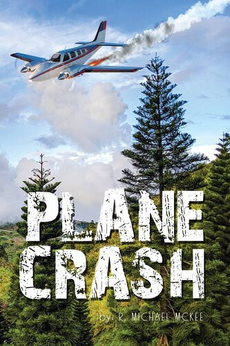 Plane Crash R Michael Mckee