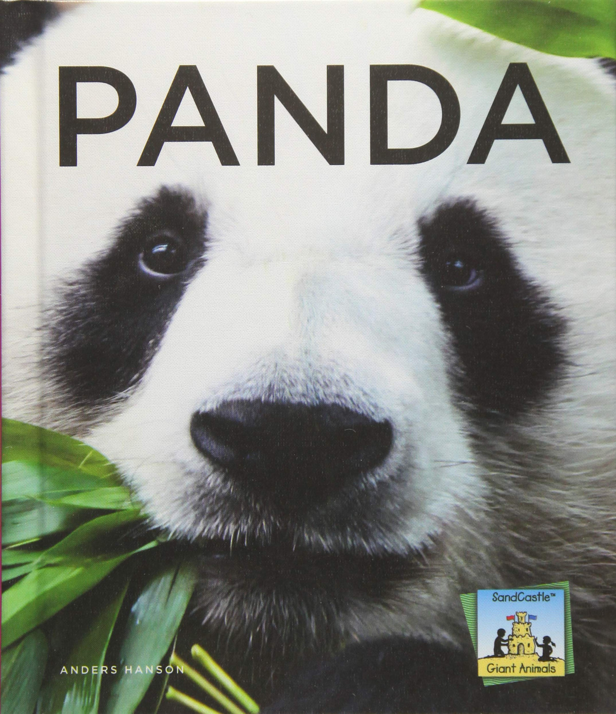 Panda Anders Hanson