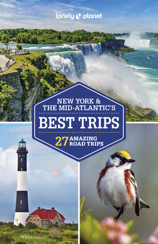 Lonely Planet New York The Midatlantics Best Trips 4 Road Trips Guide 4th Edition Simon Richmond