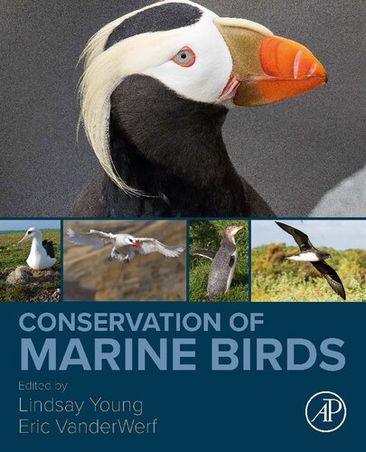 Conservation Of Marine Birds Lindsay Young Eric Vanderwerf