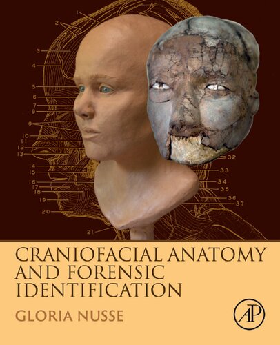 Craniofacial Anatomy And Forensic Identification Gloria Nusse