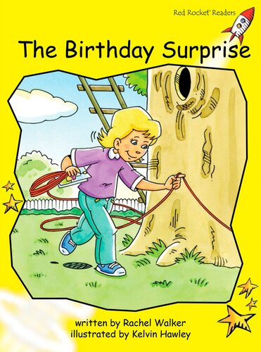 The Birthday Surprise Readalong Ebook Rachel Walker