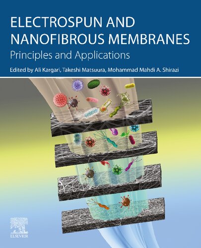Electrospun And Nanofibrous Membranes Principles And Applications Ali Kargari