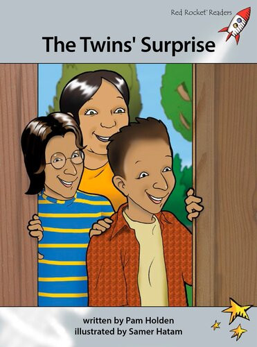 The Twins Surprise Readalong Ebook Pam Holden
