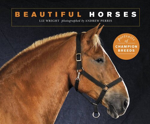 Beautiful Horses Portraits Of Champion Breeds Liz Wright