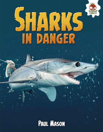 Sharks In Danger Paul Mason