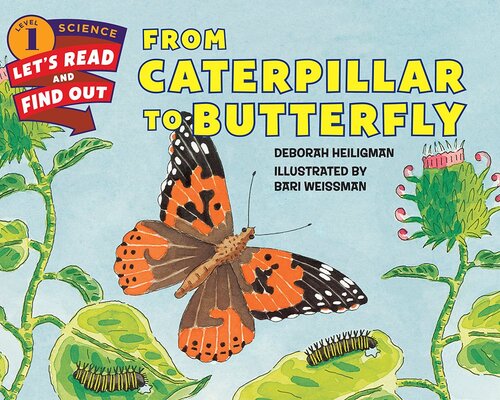 From Caterpillar To Butterfly Deborah Heiligman