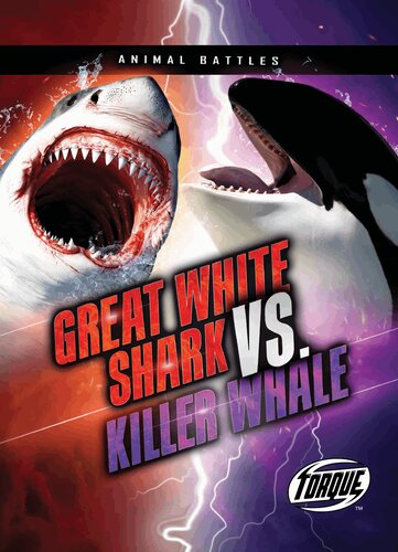 Great White Shark Vs Killer Whale Thomas K Adamson